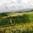 Terrain à vendre à Talisay City, Central Visayas, Talisay City