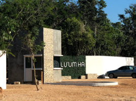 Terrain à vendre à Puerto Morelos, Quintana Roo, Puerto Morelos
