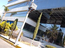 344 m² Office for rent in Puebla, San Andres Cholula, Puebla