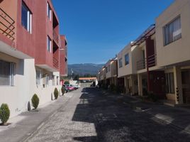 3 Habitación Apartamento en alquiler en Pichincha, Sangolqui, Rumiñahui, Pichincha