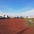  Land for sale in Abasolo, Guanajuato, Abasolo