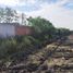  Land for sale in Abasolo, Guanajuato, Abasolo