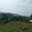  Land for sale in Cimenyan, West Jawa, Cimenyan, Bandung