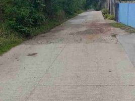  Grundstück zu verkaufen in San Juan, Calabarzon, San Juan