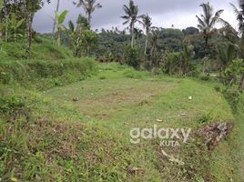  Terrain for sale in Baturiti, Tabanan, Baturiti