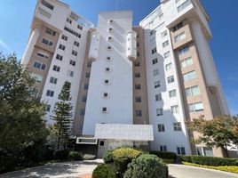 在El Marques, Queretaro出租的3 卧室 住宅, El Marques