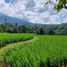  Grundstück zu verkaufen in Tabanan, Bali, Pupuan, Tabanan