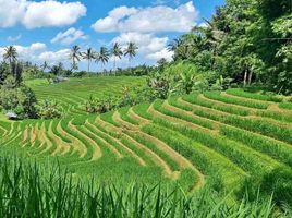  Terrain for sale in Pupuan, Tabanan, Pupuan