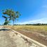  Terreno (Parcela) en venta en Las Pinas City, Metro Manila, Las Pinas City