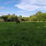  Land for sale in Chapantongo, Hidalgo, Chapantongo