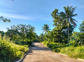  Land for sale in Cavite, Calabarzon, Alfonso, Cavite