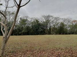  Land for sale in Muntinlupa City, Metro Manila, Muntinlupa City