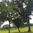  Land for sale in Muntinlupa City, Metro Manila, Muntinlupa City