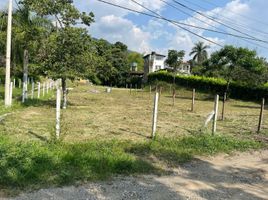  Terreno (Parcela) en venta en Palmira, Valle Del Cauca, Palmira