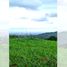  Terreno (Parcela) en venta en Calamba City, Calabarzon, Calamba City, Laguna, Calabarzon, Filipinas