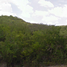  Land for sale in Llera Tamaulipas, Llera