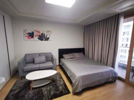 Studio House for rent in the Philippines, Angeles City, Pampanga, Central Luzon, Philippines