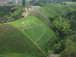  Terreno (Parcela) en venta en Alcala, Valle Del Cauca, Alcala