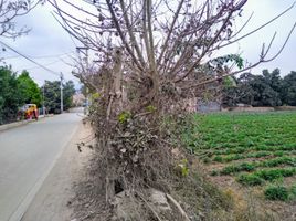  Grundstück zu verkaufen in Lurin, Lima, Lurin, Lima, Lima, Peru