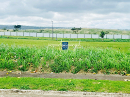  Land for sale at Mondia NUVALI, Calamba City