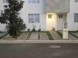 3 Habitación Casa en alquiler en San Pedro Cholula, Puebla, San Pedro Cholula
