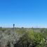  Land for sale in Sabinas Hidalgo, Nuevo Leon, Sabinas Hidalgo