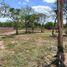  Grundstück zu verkaufen in Conkal, Yucatan, Conkal