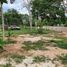  Grundstück zu verkaufen in Conkal, Yucatan, Conkal