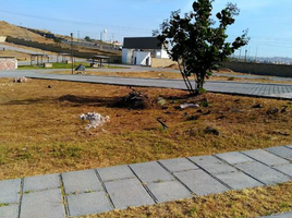  Grundstück zu verkaufen in Puebla, Puebla, Puebla, Puebla
