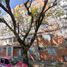 Villa 2 chambre à vendre à Miguel Hidalgo, Mexico City, Miguel Hidalgo