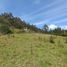  Terrain for sale in Solano, Deleg, Solano