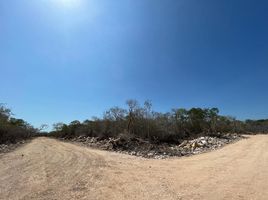  Terreno (Parcela) en venta en Progreso, Yucatán, Progreso