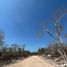  Terreno (Parcela) en venta en Progreso, Yucatán, Progreso