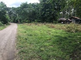  Grundstück zu verkaufen in Negros Oriental, Negros Island Region, Dauin