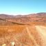  Grundstück zu verkaufen in Tecate, Baja California, Tecate, Baja California