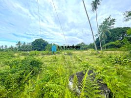  Grundstück zu verkaufen in Negros Oriental, Negros Island Region, Bacong