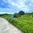  Land for sale in Negros Oriental, Negros Island Region, Bacong, Negros Oriental