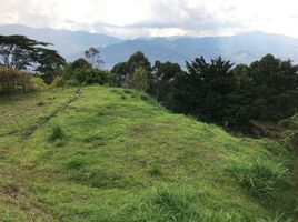  Grundstück zu verkaufen in Retiro, Antioquia, Retiro