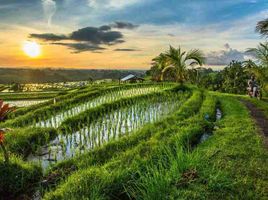  Terrain for sale in Sidemen, Karangasem, Sidemen