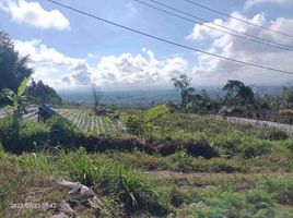  Terrain for sale in Baturiti, Tabanan, Baturiti