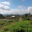  Land for sale in Tabanan, Bali, Baturiti, Tabanan