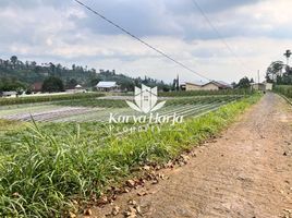  Tanah for sale in Ngargoyoso, Karanganyar, Ngargoyoso