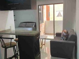 1 Bedroom Apartment for rent in Antioquia Museum, Medellin, Medellin