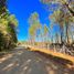  Land for sale in Chile, Parral, Linares, Maule, Chile