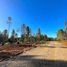  Land for sale in Chile, Parral, Linares, Maule, Chile