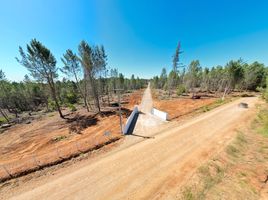  Land for sale in Chile, Parral, Linares, Maule, Chile