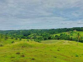  Land for sale in Tabogon, Cebu, Tabogon