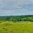  Land for sale in Cebu Central Visayas, Tabogon