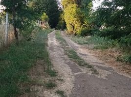  Terreno (Parcela) en venta en Linares, Maule, Parral, Linares