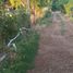  Terreno (Parcela) en venta en Linares, Maule, Parral, Linares